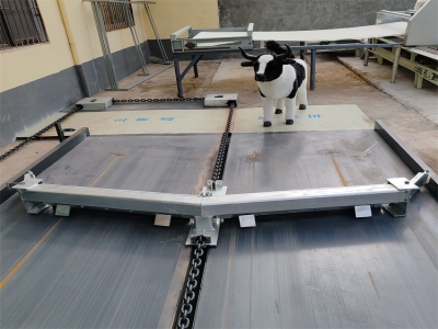 長期使用后牛場清糞機的輸送效率排查與優化